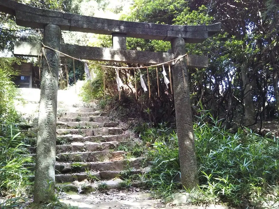 参道（鳥居より本殿に向く）（イメージ写真）