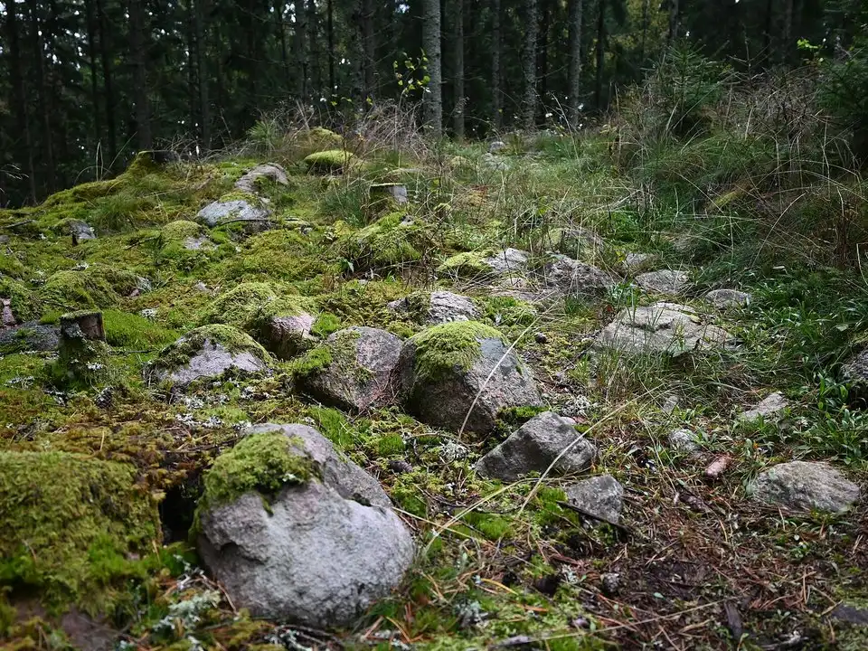 寄附石（石碑）の並び（イメージ写真）